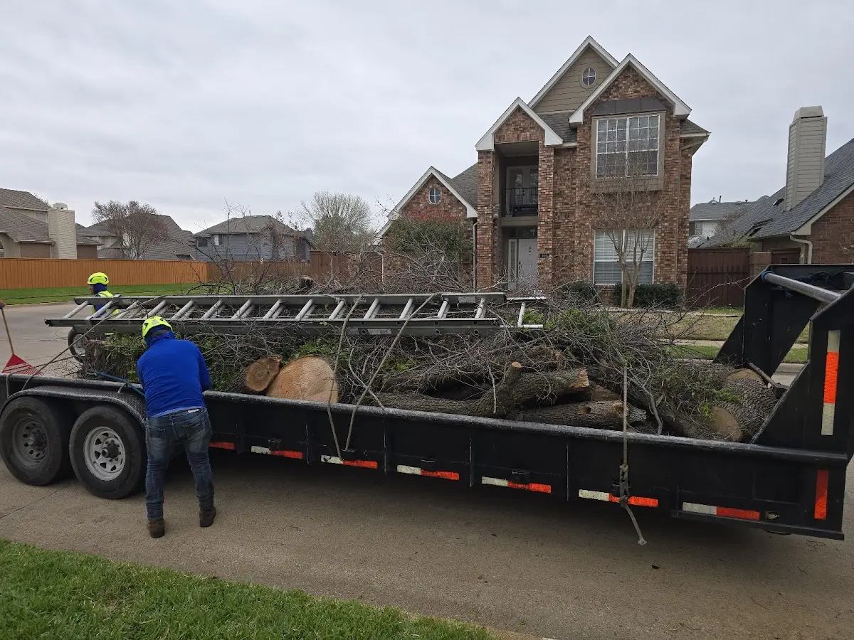 Expert Tree Fertilization with proper safety equipment in Howard